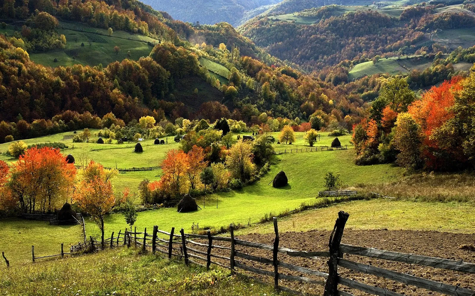 Paisaje (Jardines del Edén) Wallpaper de 1920x1200px | Banco de ... Paisaje (Jardines del Edén) Wallpaper de 1920x1200px | Banco de ...
