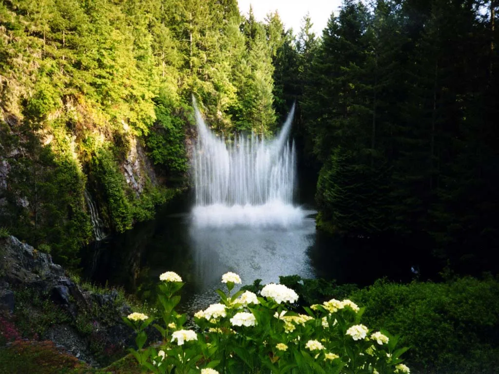 paisaje natural con cascada y flores
