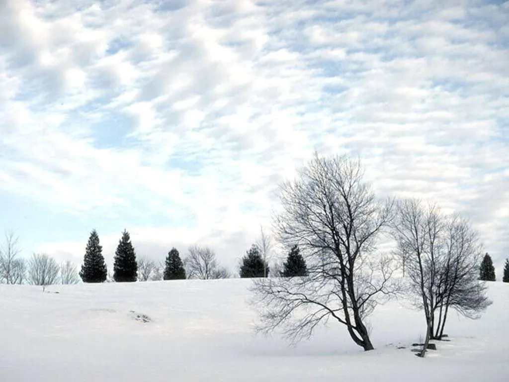 Paisaje Con Nieve | Imagenes