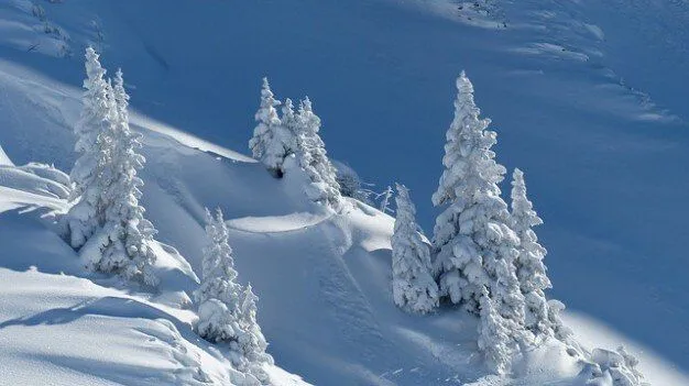 paisaje recorrido de esquí de invierno nieve Tannheimertal Tirol ...