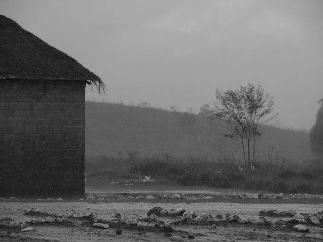 Paisaje típico colombiano - Trópical lluvioso triste | Flickr ...