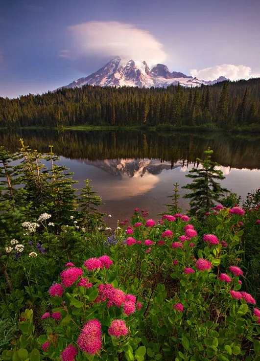 Paisajes del más allá - Paradise landscapes - Edén | Banco de ... Paisajes del más allá - Paradise landscapes - Edén | Banco de ...