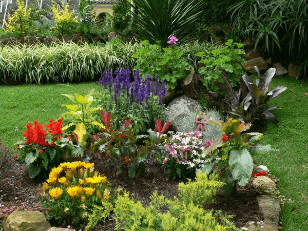 PAISAJES ANIMADOS: Paisaje animado de flores ( PAISAJES ANIMADOS: Paisaje animado de flores (