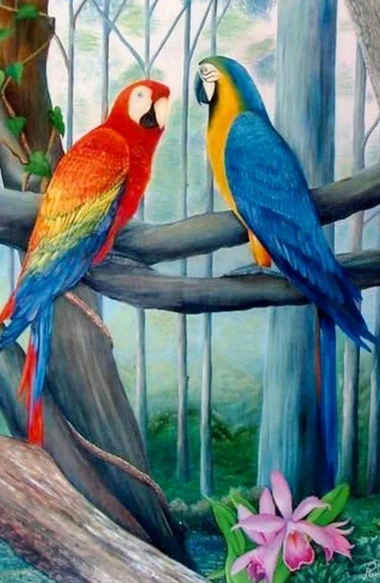 Paisajes y Bodegones: Cuadros de guacamayas Paisajes y Bodegones: Cuadros de guacamayas