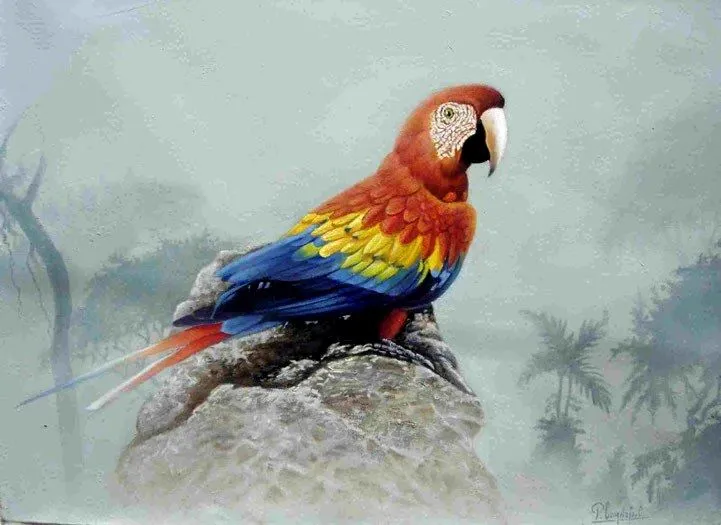 Paisajes y Bodegones: PAISAJE CON GUACAMAYA OLEO Paisajes y Bodegones: PAISAJE CON GUACAMAYA OLEO