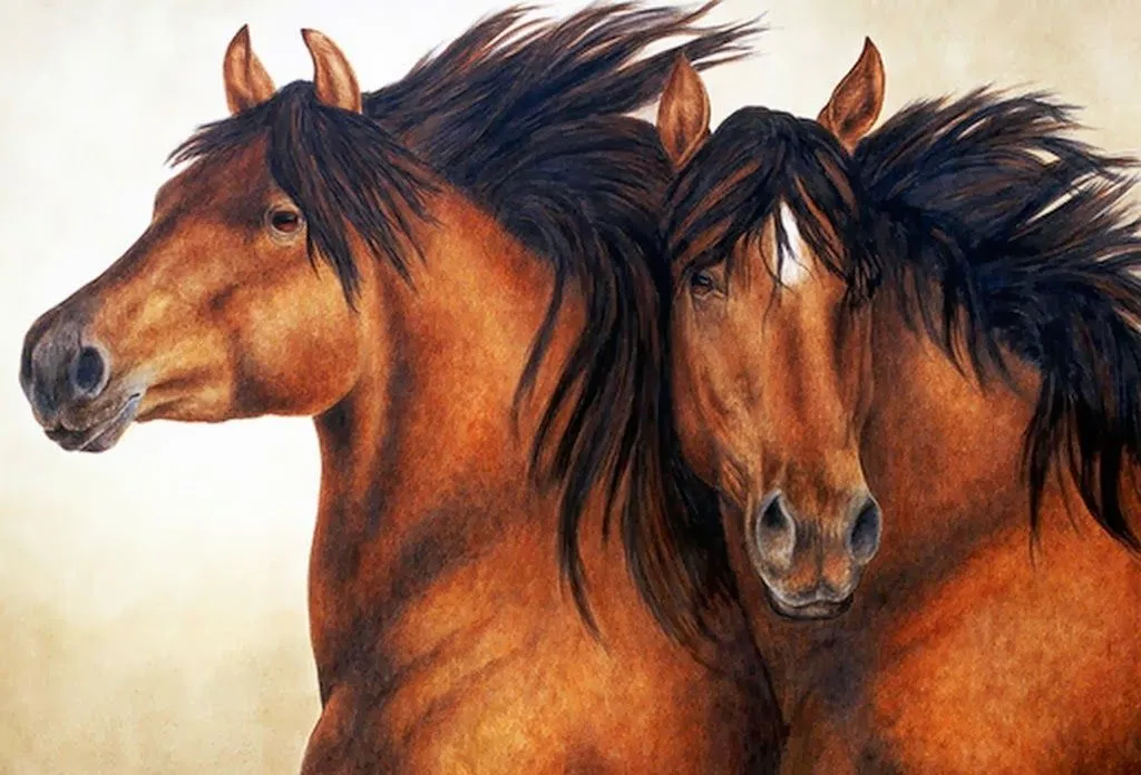 Paisajes y Bodegones: Pinturas, Cabezas de Caballos, Pat Erickson, ( Paisajes y Bodegones: Pinturas, Cabezas de Caballos, Pat Erickson, (
