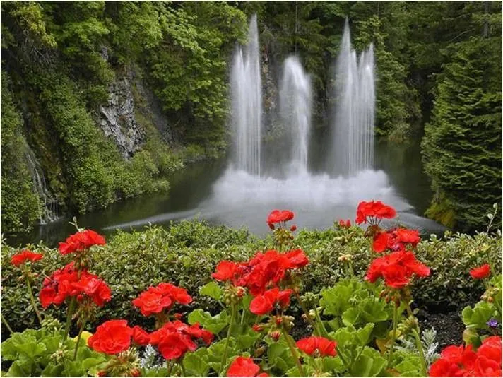 paisajes-de-cascadas-y-flores.jpg