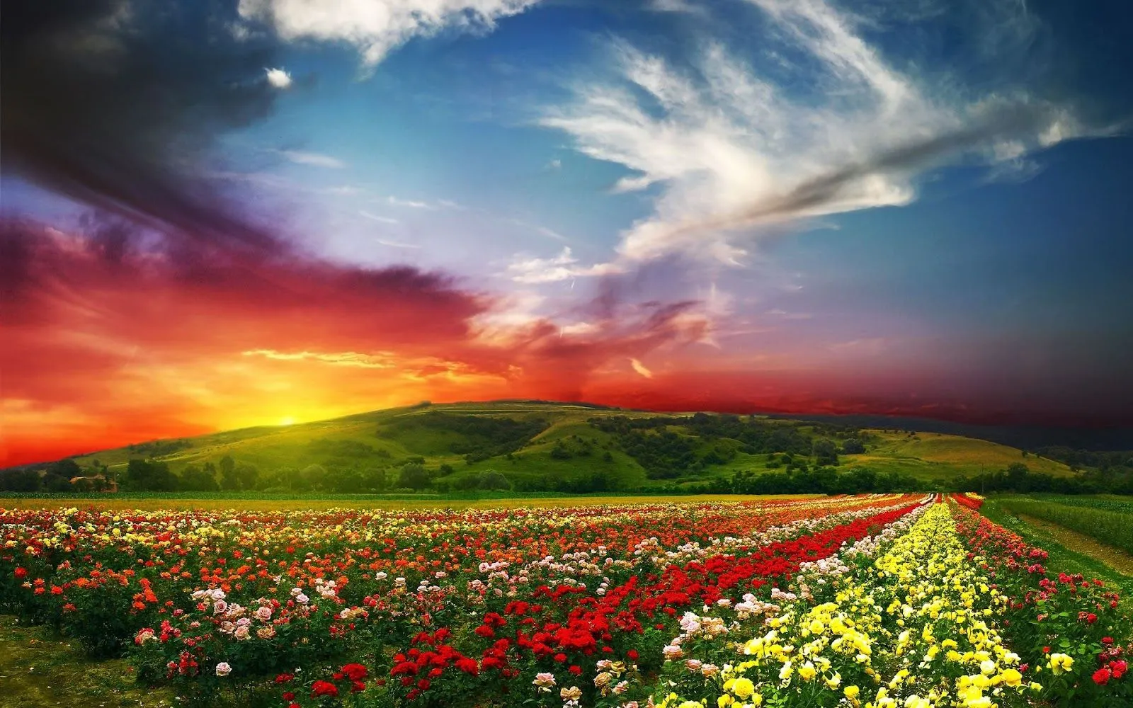 10 Hermosos Paisajes de la Naturaleza en HD 10 Hermosos Paisajes de la Naturaleza en HD