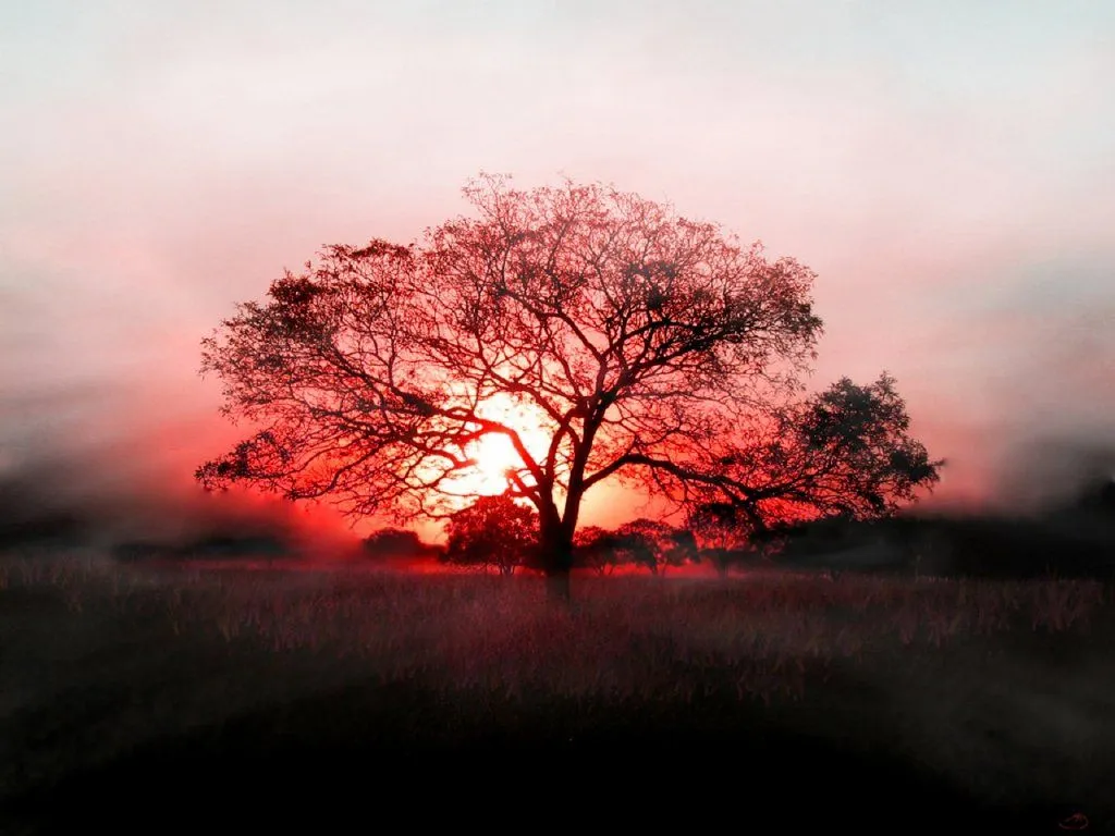 Imagenes de Paisajes: gratis para fondo de pantalla Imagenes de Paisajes: gratis para fondo de pantalla