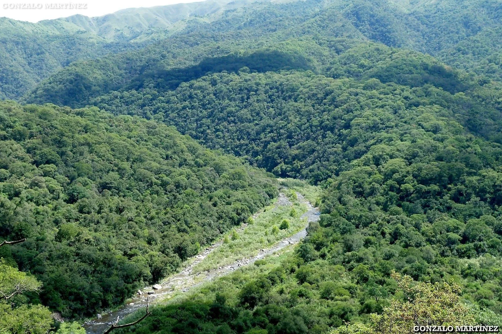 Paisajes Y Naturaleza de Catamarca: Selva de las Yungas en Las ... Paisajes Y Naturaleza de Catamarca: Selva de las Yungas en Las ...