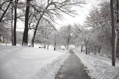 paisajes de nieve Parque de Toronto en invierno paisajes de nieve Parque de Toronto en invierno