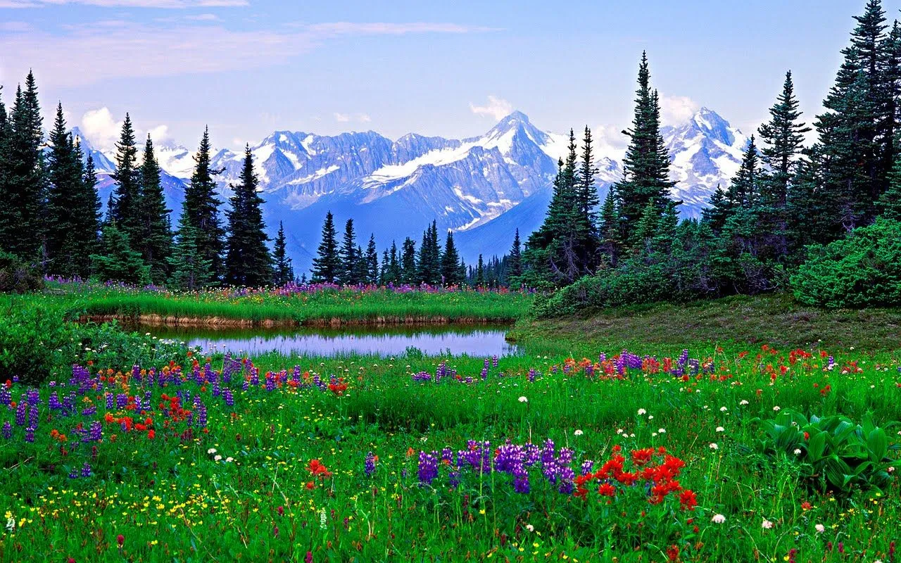 Paisajes de Primavera - Paisajes Naturales ~ Fondos de Pantalla Paisajes de Primavera - Paisajes Naturales ~ Fondos de Pantalla