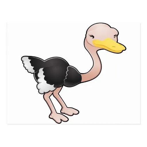Un pájaro lindo de la avestruz del dibujo animado postal | Zazzle