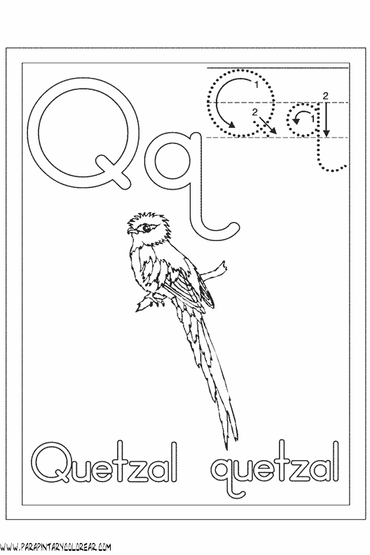 Pajaro quetzal para dibujar - Imagui