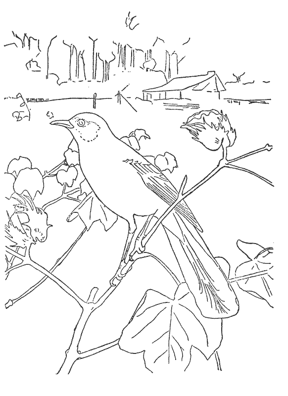 simbolos naturales Colouring Pages