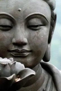 Un Pajaro al Viento: Las Enseñanzas de Buda Un Pajaro al Viento: Las Enseñanzas de Buda