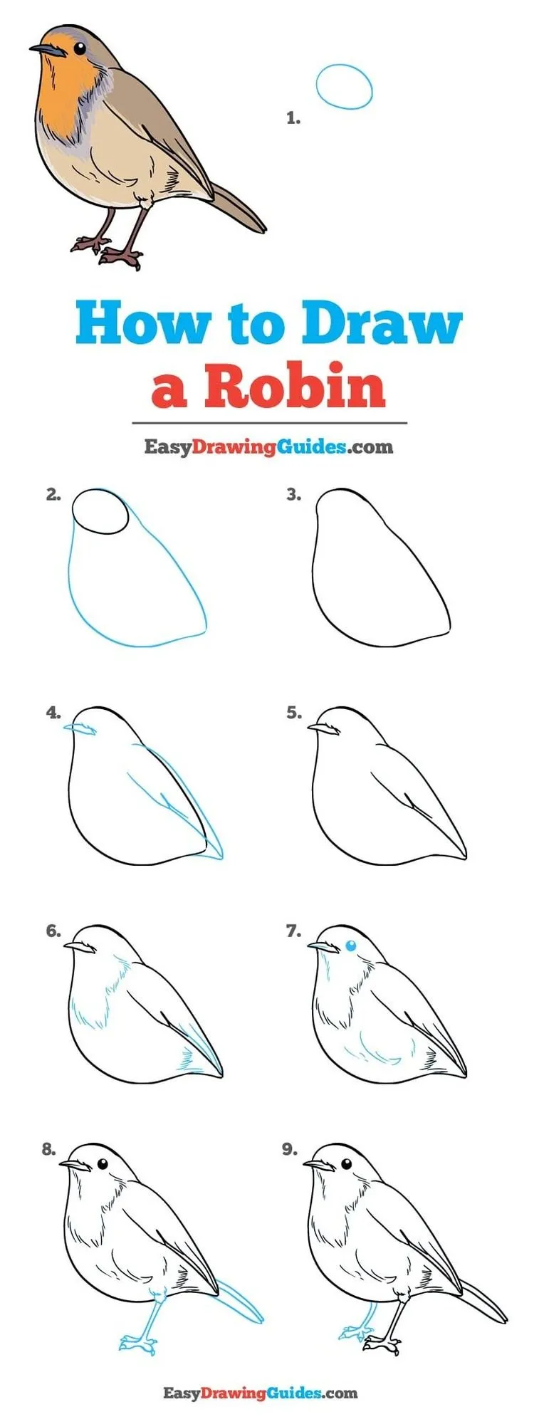 Pájaros Dibujos Fáciles para hacer 