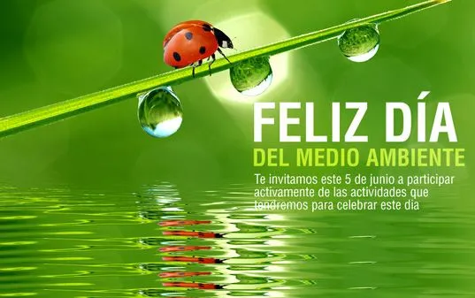 Palabras y colores: 5 de junio: Día del MEDIO AMBIENTE Palabras y colores: 5 de junio: Día del MEDIO AMBIENTE