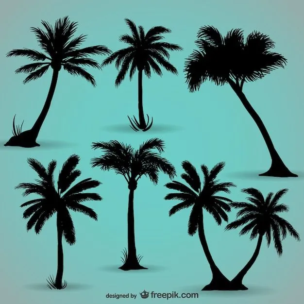 Palm Vectors, Photos and PSD files | Free Download