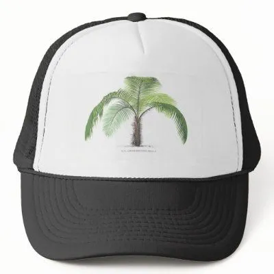 ... de la palmera - dibujo VI Gorras De Camionero de Zazzle.es ... de la palmera - dibujo VI Gorras De Camionero de Zazzle.es