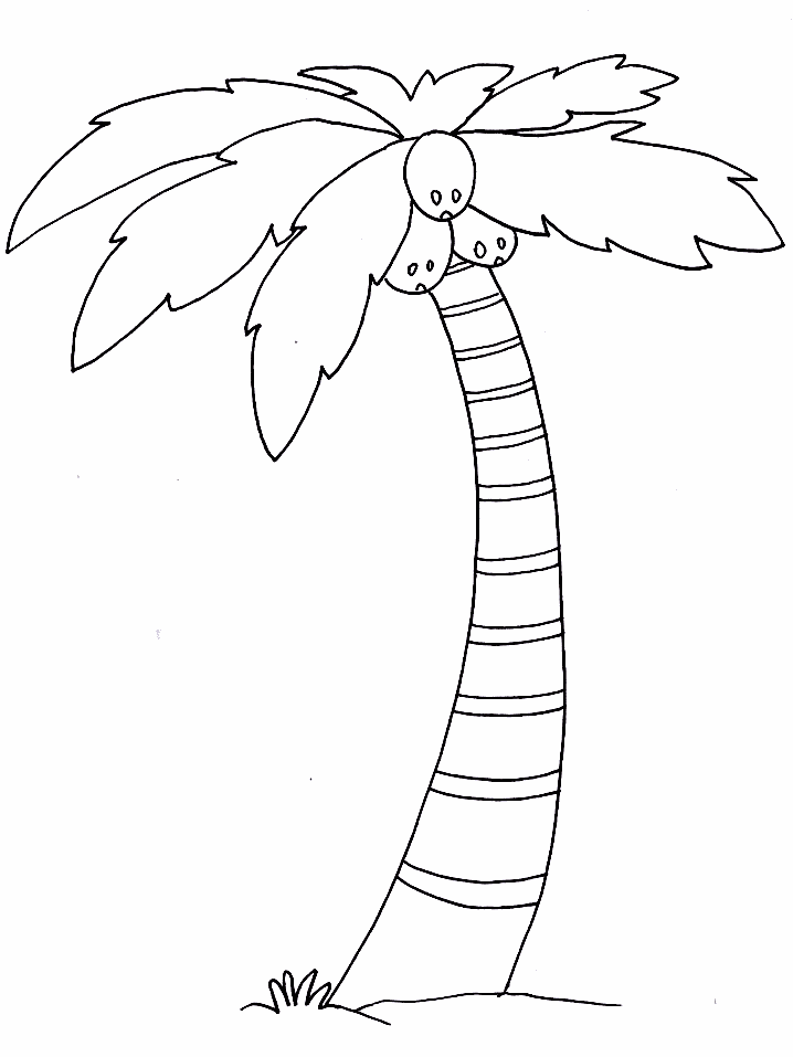 Palmera+(4).gif (718×957) | Tree coloring page, Palm tree pictures, Coconut  tree drawing