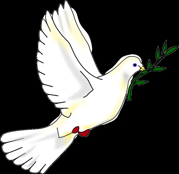 La paloma de la paz grande - Imagui