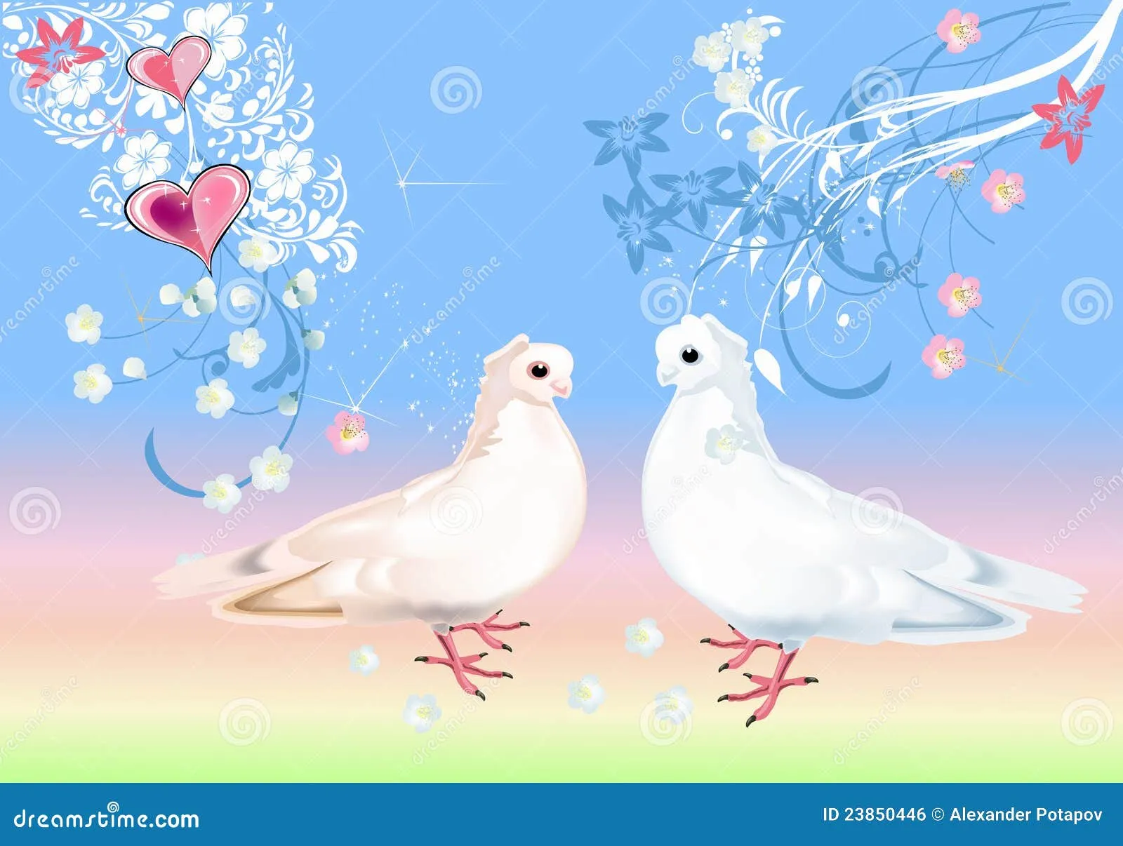 Dos Palomas Blancas En Fondo Ligero Imagen de archivo libre de ... Dos Palomas Blancas En Fondo Ligero Imagen de archivo libre de ...