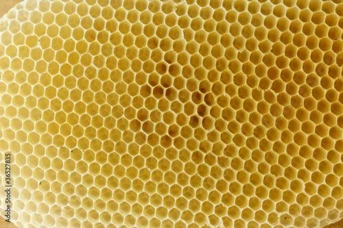 Panal de abejas" Fotos de archivo e imágenes libres de derechos en ...