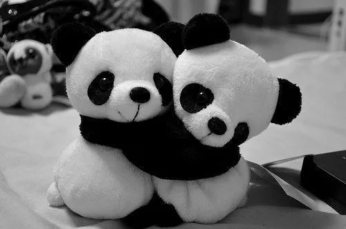 Pandas animados tiernos enamorados - Imagui