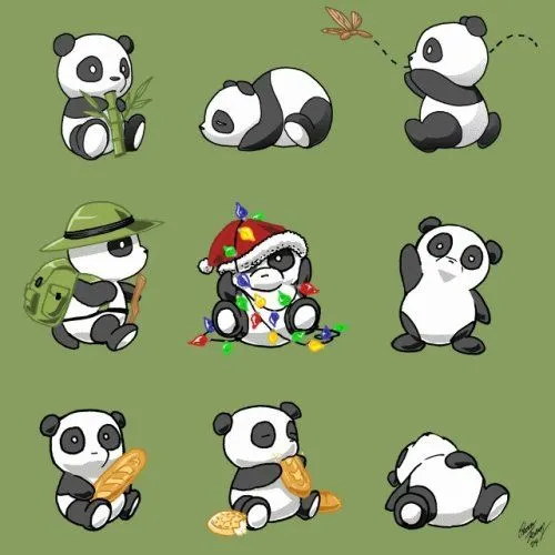 Pandas,tiernos para,dibujar - Imagui