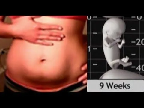 Panza de 9 semanas de Embarazo (2 meses) y desarrollo del Feto ...