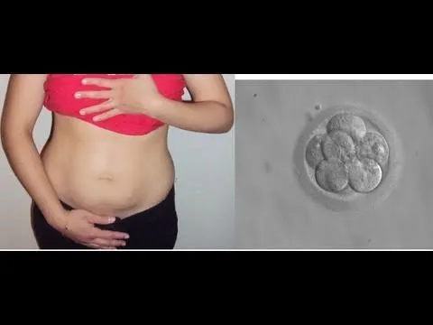 Panza De 3 Semanas De Embarazo y Desarollo del Embrion. - YouTube