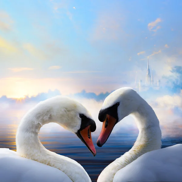 par de arte de cisnes enamorados flotando en el agua al amanecer ...