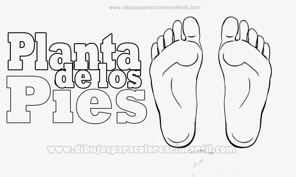 Partes del cuerpo para colorear: La Planta de los Pies ~ Dibujos ...