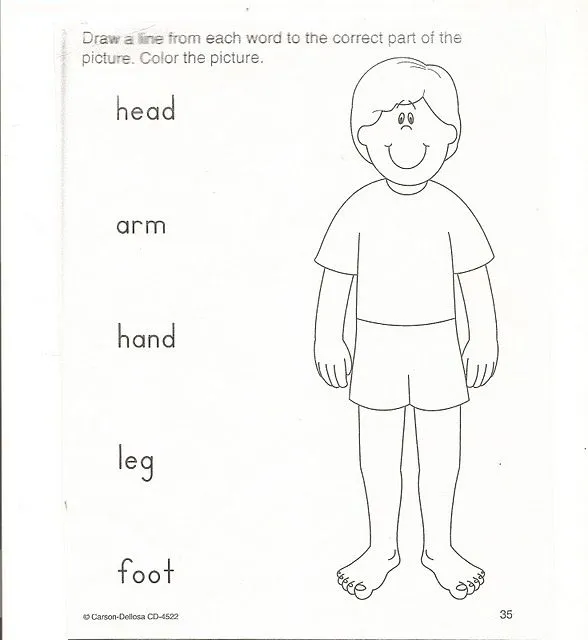 Fichas de Inglés para niños: Worksheets parts of body