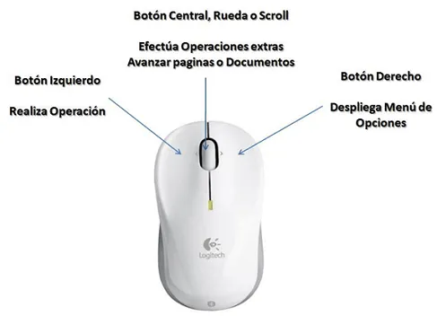 Partes y funciones del ratón o mouse | Fortalecimiento del ...