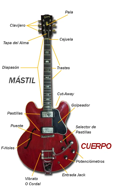 Partes de la guitarra | guitarmonia.es