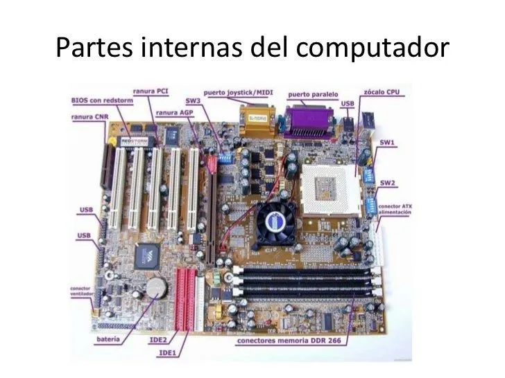 partes-internas-del-computador ...