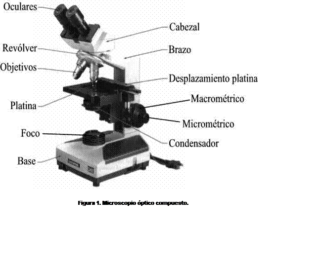 Partes, Manejo Y Uso Del Microscopio - Libro Gratis