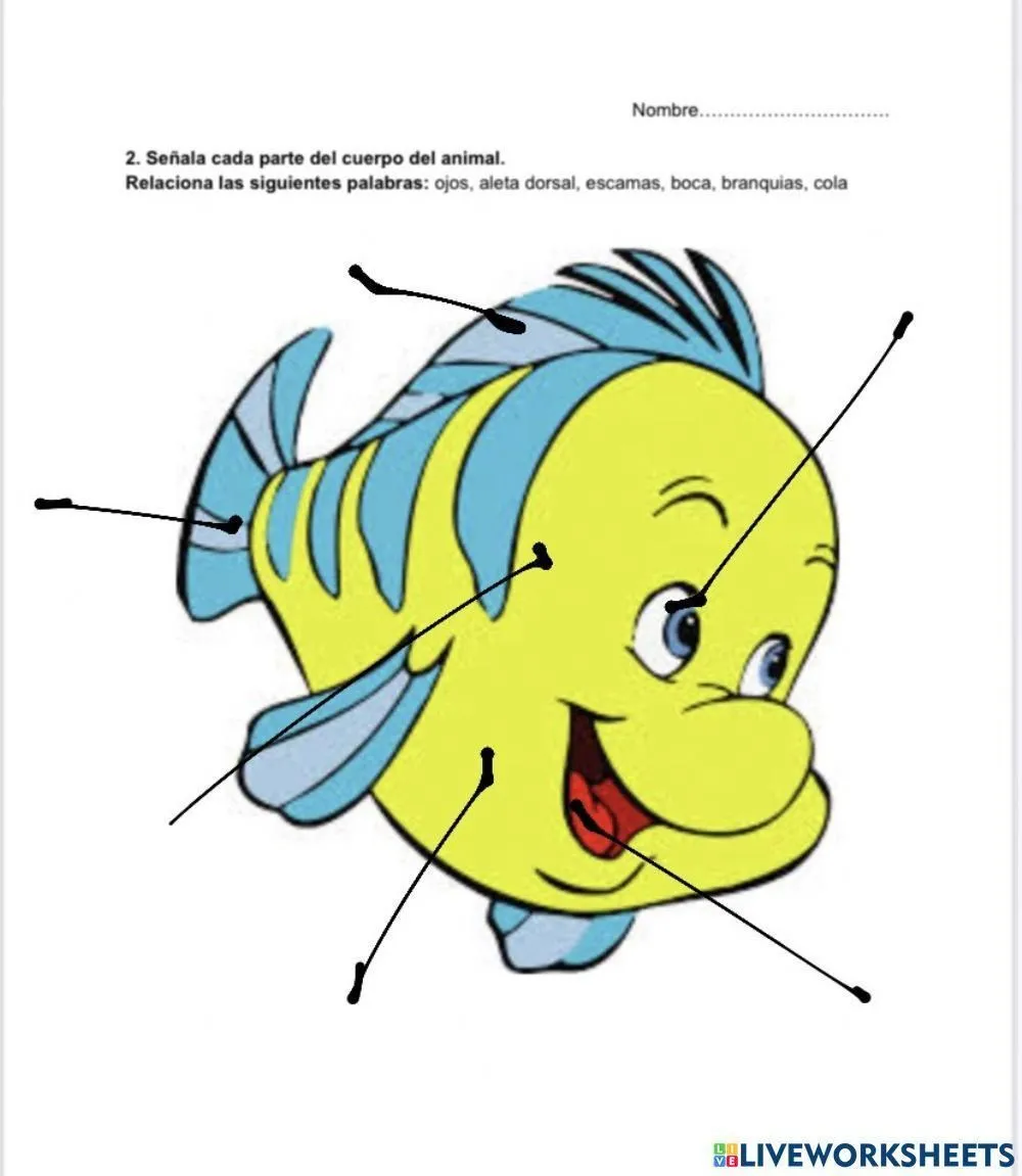 Partes de un pez online worksheet | Live Worksheets