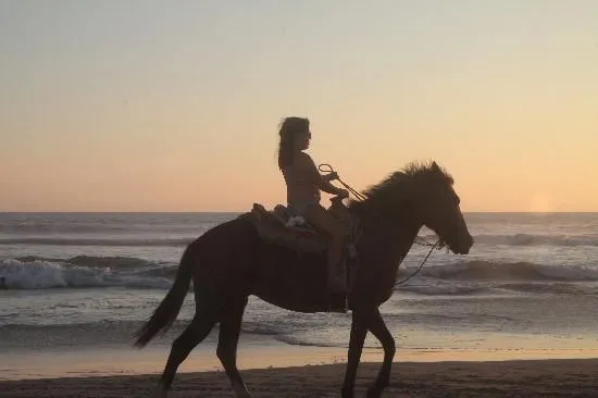 Paseos a caballo y renta de motos - Picture of Playa Revolcadero ...