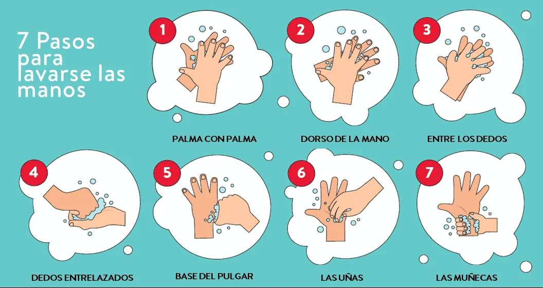 7 pasos para aprender a lavarse las manos | Sonríe Mamá