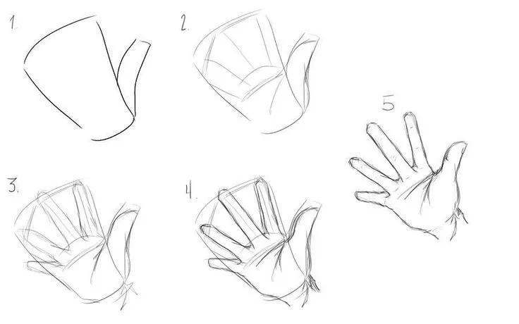 Pasos para dibujar las manos. | tecnicas dibujos formas | Pinterest