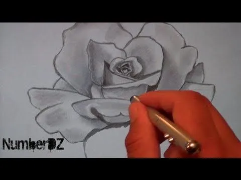 Rosas para dibujar 3D - Imagui
