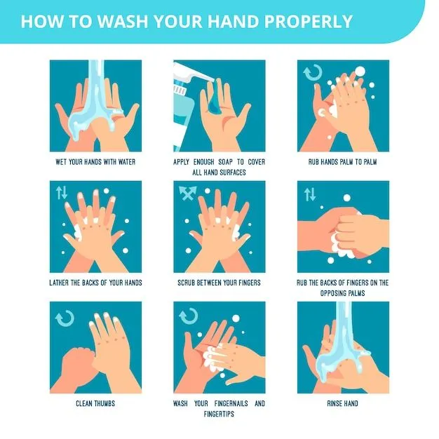 Pasos para lavarse las manos para prevenir enfermedades e higiene | Vector  Gratis