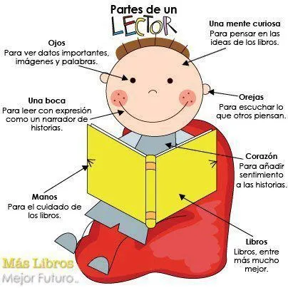 Primeros pasos en Primaria: Anatomía de un lector