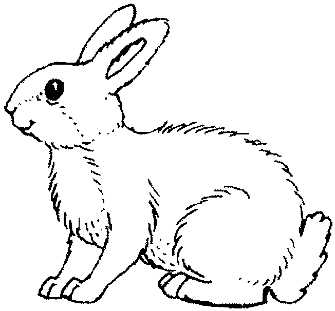 Patas de conejo para colorear - Imagui