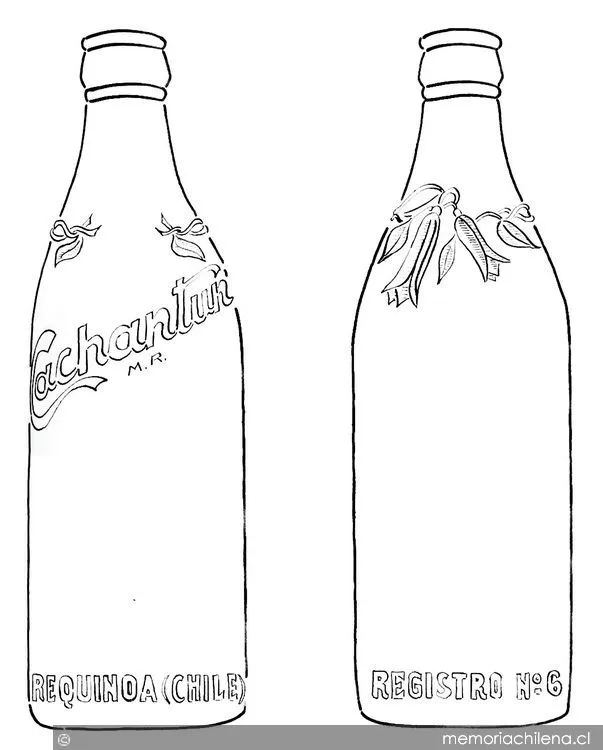 Patente de modelo industrial de botella de vidrio para envasar ...