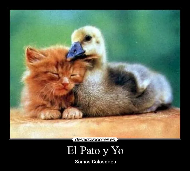 El Pato y Yo | Desmotivaciones