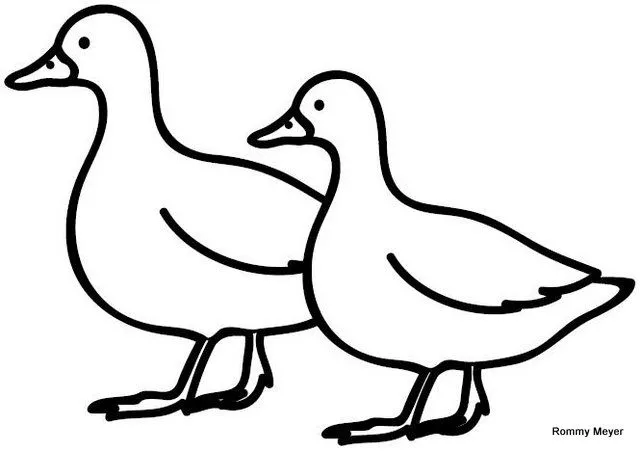 Dibujos patos - Imagui